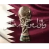 FIFA WC 11