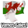 Vamos Gales!