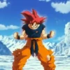 Son Goku | 25
