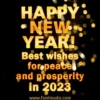 HAPPY NEW YEAR 2023  11