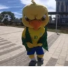 VAI BRASIL!!🇧🇷🎉 13