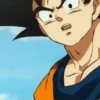 Son Goku | 21