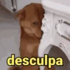 desculpa