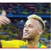 FIFA WC 13