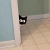 Это бум на Tiktok 7
