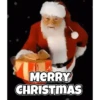 Christmas pack 10