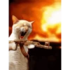 Funny Animated 14