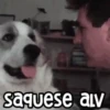 🐶 Perritos Frases Mov. 1.0 🐾 17
