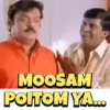 TAMIL TRENDS 16