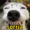 ALEGRIA 🤪 6