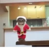 🐱Michis en Navidad 2🎁🎄 14