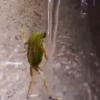Funny Memes 7