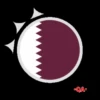 ☆MUNDIAL QATAR 2022☆⚽️ 21