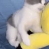 ✨Animados que necesitas✨ 14 10