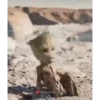 BAORAMI LITS