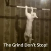Viral meme 7