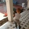 🧒🏻 NIÑOS RANDOM ✌🏻 👧🏻 12