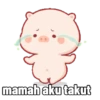 Babi lucu kek kamu 15