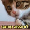 Pack de reações ✨ 10