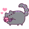 🐈‍⬛ Gatitos 🐈‍⬛ 10