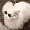Kittos 😺 14
