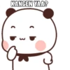 Cute Pandaa 11