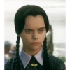 Wednesday Addams 9
