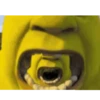 Randoman NT😭 10