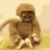 Kittos 😺 9