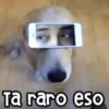 🐶 Perritos Frases Mov. 1.0 🐾 16