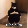 Para reagir em 2023 😂 13