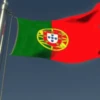 FORÇA PORTUGAL 🇵🇹 15