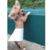 Viral memes 2.0 11