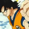 Son Goku | 19