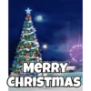 Christmas pack 6