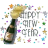 Happy new year 14