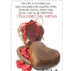 Chocolate Day  15