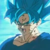 Son Goku | 27