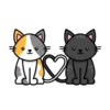 🐈‍⬛ Gatitos 🐈‍⬛ 9