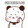 Cute Pandaa 12