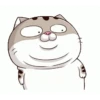 Mood kucing 6