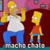 Desenhos sinceros  11