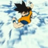 Son Goku | 20