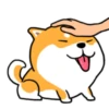 Funny Dog 6