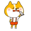 Funny Dog 5