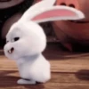 🌈 Animaditos Random 3 🤭 6