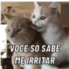 GATINHOS FOFOS V3 💖 8