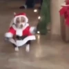 🎅🏻 Navidad Random 🎄 10