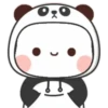 Cute panda 19