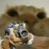 Funny Memes 8